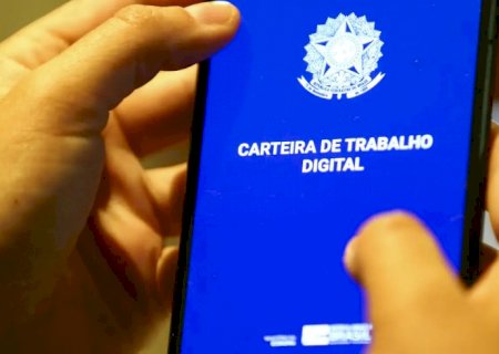 Empregos com carteira assinada fecham 2024 com volume recorde