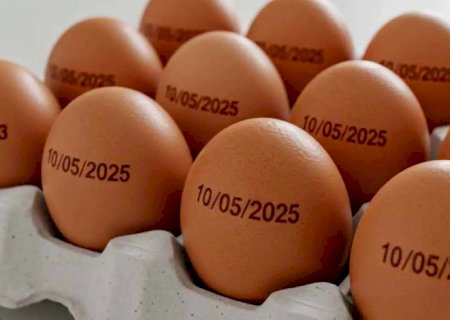 Agricultura suspende determinação de carimbar data de validade em ovos