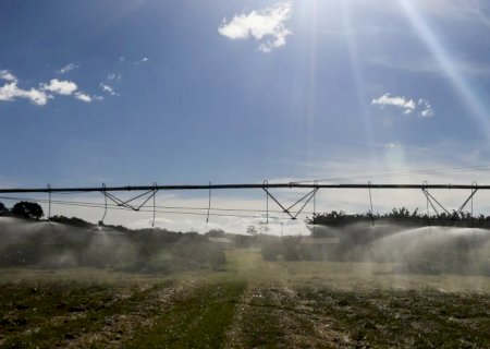 Governo publica MP com crédito extraordinário de R$ 4 bi a Plano Safra