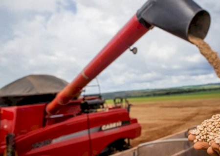 Conab estima safra de grãos acima de 328 milhões de toneladas