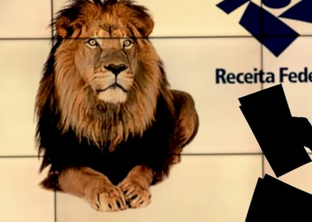 Programa para fazer declaração do IRPF 2025 está disponível