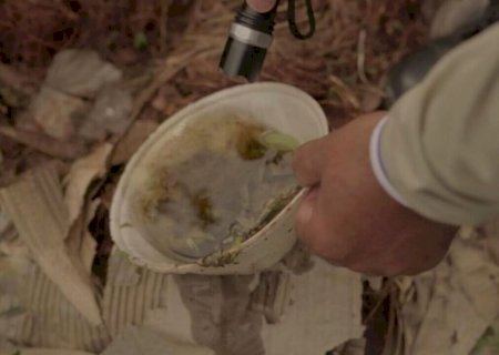 SES confirma primeira morte por Chikungunya em 2025