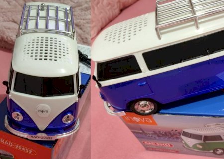 Cadela pari 12 filhotes e moradora rifa Kombi para mantê-los vivos
