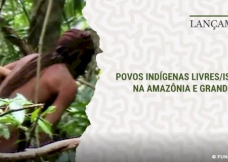 Brasil conta com 119 povos em isolamento, diz novo livro do Cimi