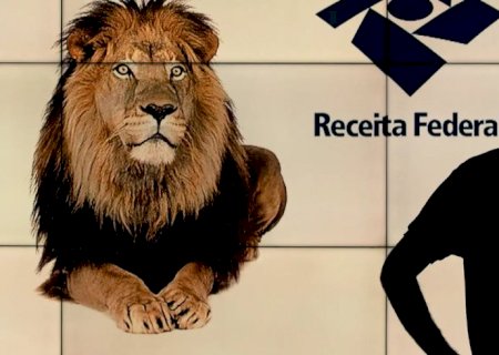 Veja cronograma da declaração do Imposto de Renda 2025