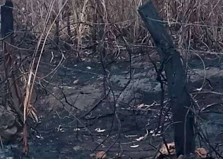 Fazendeiro é multado em R$ 1,6 milhão por incêndio que devastou 177 hectares