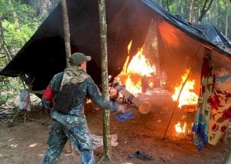 Operação desmantela acampamento com 48 toneladas de maconha