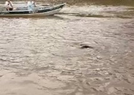 Menino de 13 anos fisga pintado de 1,75 m, maior que ele, no Rio Dourados