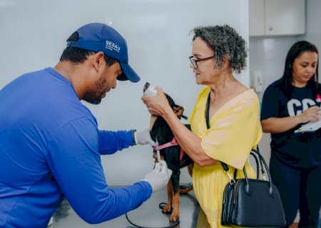Vacinação contra raiva chega aos bairros Caiçara, Taveirópolis, Amambaí e Leblon