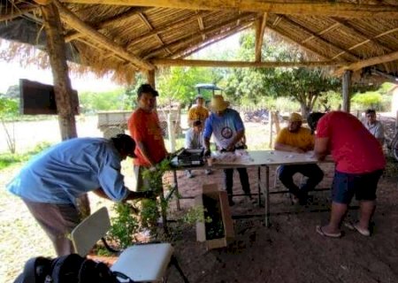 Projeto leva cultivo de 2 mil hortas para comunidades ind&iacute;genas de MS