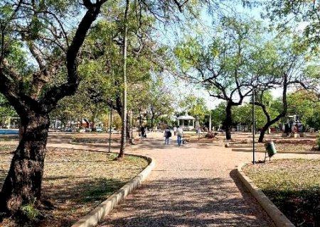 Corumb&aacute; rediscute arboriza&ccedil;&atilde;o urbana como resili&ecirc;ncia clim&aacute;tica e mais verde