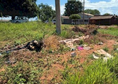 Surto de dengue em Jardim preocupa moradores que exigem o uso de fumac&ecirc;
