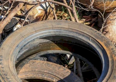 Ch&aacute;cara dos Poderes e mais 4 bairros lideram risco muito alto para dengue