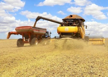 Safra de soja em Mato Grosso do Sul atinge 27,7% da colheita
