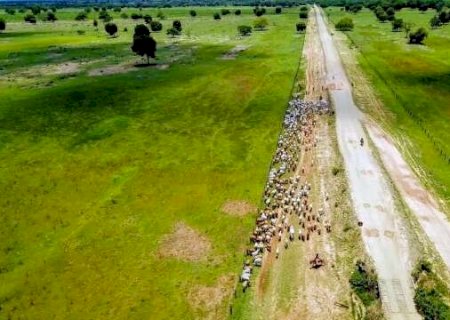 Governo de MS abre novo edital para pagar quem preserva o Pantanal