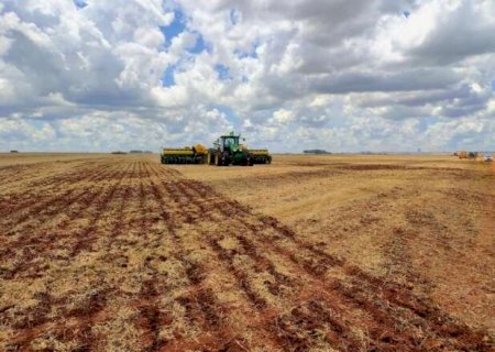 Chuvas irregulares e calor acima da m&eacute;dia colocam produtores de MS em alerta