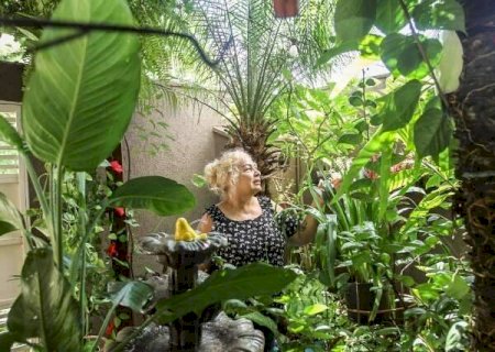 Varanda lotada de plantas vira at&eacute; &ldquo;ponto tur&iacute;stico&rdquo; no bairro