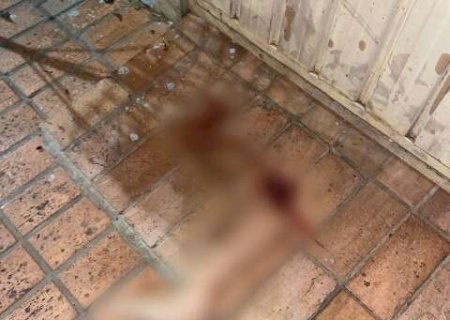 Perna de mulher atropelada &eacute; encontrada a 50 metros do acidente