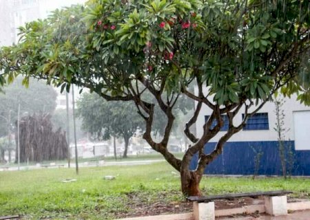 MS entra em alerta para chuvas intensas e risco de grande acumulado at&eacute; domingo