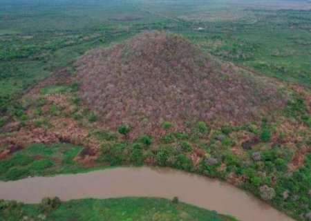 Fogo causado por a&ccedil;&atilde;o humana &eacute; investigado ap&oacute;s destruir 20 hectares no Pantanal