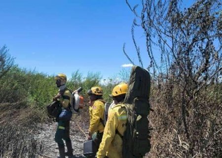 Chuva irregular e n&iacute;vel baixo do rio elevam risco de queimadas no Pantanal