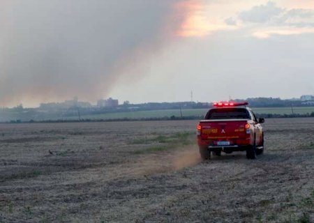 Inc&ecirc;ndio atinge 50 hectares de &aacute;rea rural e fuma&ccedil;a &eacute; vista a quil&ocirc;metros