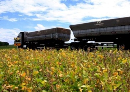 In&iacute;cio do escoamento da soja influencia pre&ccedil;os de fretes agr&iacute;colas em MS