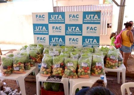 Mutir&atilde;o distribuiu mudas de plantas e cestas de verduras no Parque do Lageado