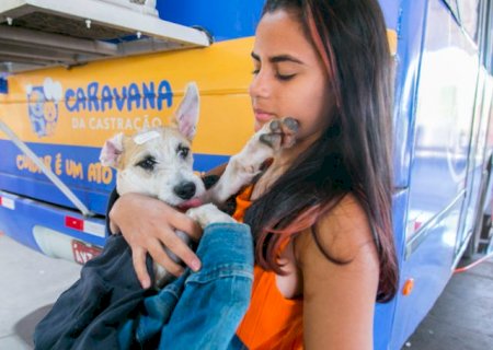 Agendamento da Caravana da Castra&ccedil;&atilde;o inicia amanh&atilde;