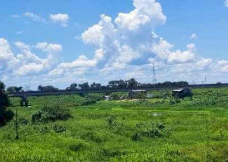 Plantas aqu&aacute;ticas fecham canal no Pantanal e afetam ribeirinhos