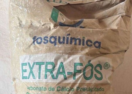 PF apreende 27 toneladas de produto usado na produ&ccedil;&atilde;o da coca&iacute;na em Corumb&aacute;