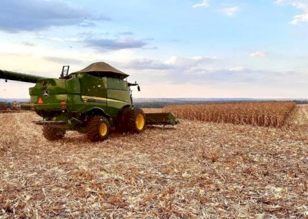 Com seca no sul, s&oacute; 41% das lavouras s&atilde;o consideradas boas e venda cai
