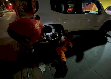 Miado desesperado exige resgate de bombeiros de gatinho na roda de ve&iacute;culo