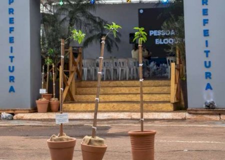 Prefeitura leva &agrave; Expogrande projeto de clonagem de figueiras hist&oacute;ricas