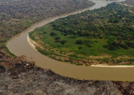 &Eacute; preciso agir r&aacute;pido diante das mudan&ccedil;as clim&aacute;ticas, diz fundador da On&ccedil;afari