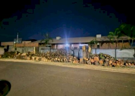 Morador na Vila Bandeirantes se surpreende com poda dr&aacute;stica de 6 &aacute;rvores
