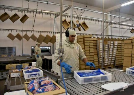 Exporta&ccedil;&otilde;es de produtos industriais somam US$ 580 milh&otilde;es em MS