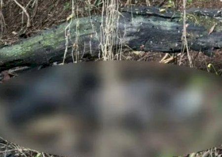 Pol&iacute;cia encontra corpo carbonizado em &aacute;rea de mata