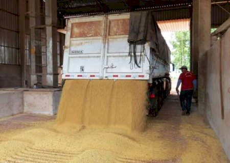 Fretes rodovi&aacute;rios sobem em MS com exporta&ccedil;&otilde;es elevadas e pico da safra de soja