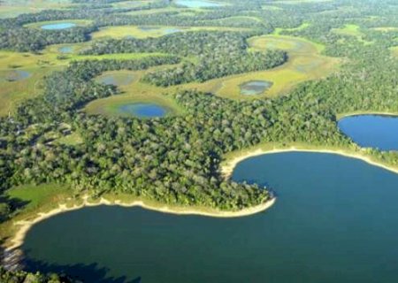 Fundador da On&ccedil;afari diz que compra de &aacute;reas freia desmate