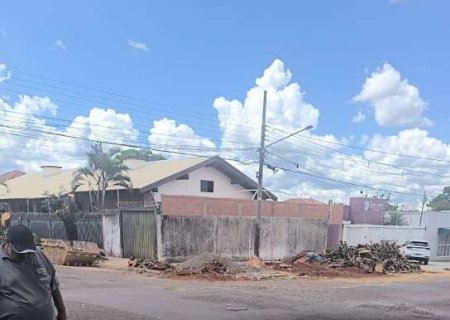 Prefeitura autorizou retirada de 6 &aacute;rvores na Vila Bandeirantes por risco