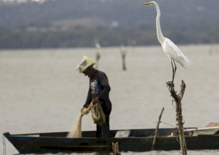 Mudanças aprovadas para o seguro-defeso previnem fraudes, diz relator