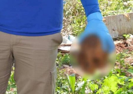 Agente de endemias encontra cr&acirc;nio durante vistoria em terreno baldio