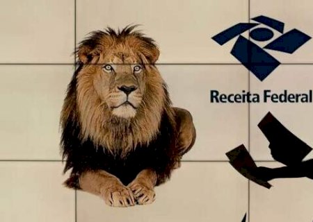 Caiu na malha fina do IR 2026? Veja como corrigir e evitar multa