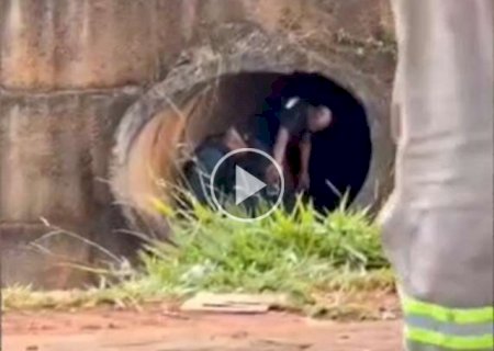 Preso em galeria do Anhandu&iacute; disse que ganharia droga por furto de carro