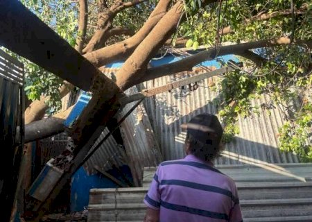 A chuva causou danos? Saiba quando acionar atendimento da Defesa Civil