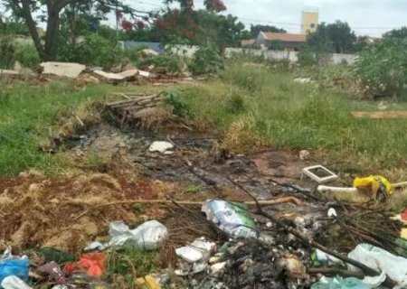 C&acirc;mara Municipal abre debate com moradores para rever lei de terrenos baldios
