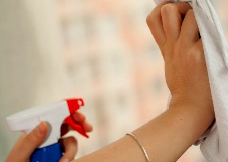 Brasil fecha 2025 com mais de 1,3 milhão de trabalhadores domésticos