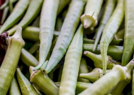 Garantia-Safra: veja lista dos que receberão pagamento em abril