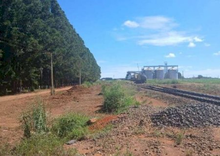 Produtores recorrem &agrave; Justi&ccedil;a e conseguem garantir passagem sobre os trilhos